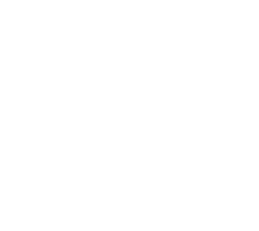 logo-ana